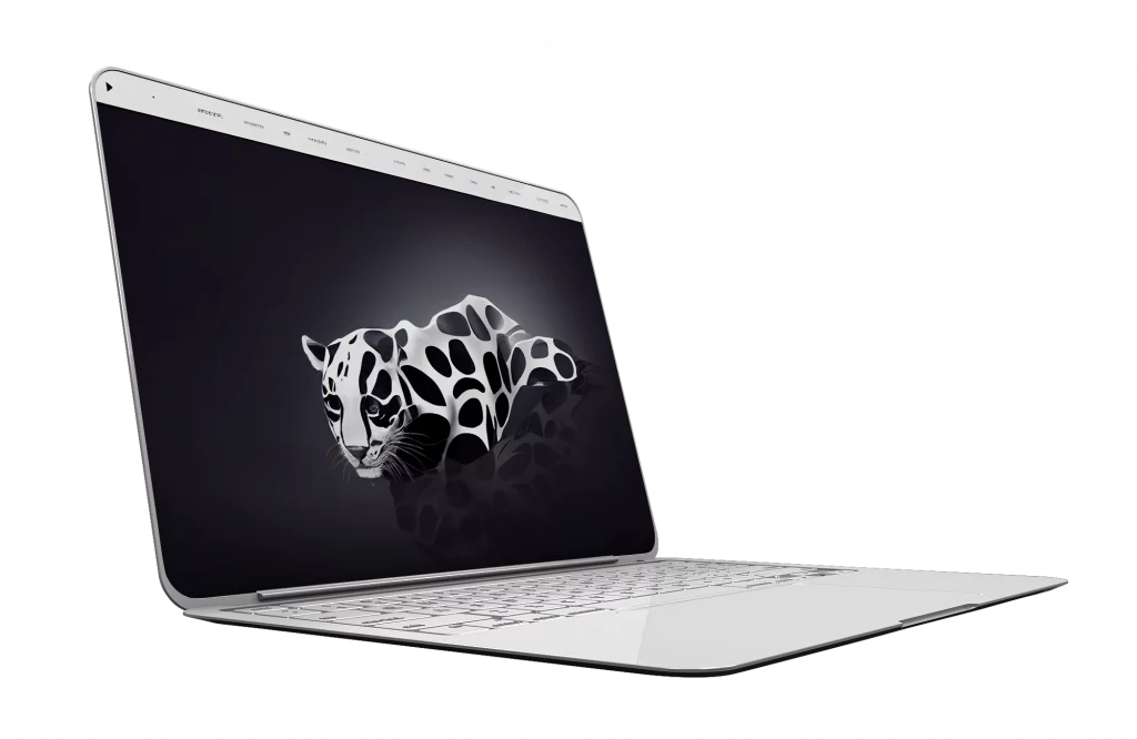 ordinateur portable affichant un site internet avec un savannah en noir et blanc
